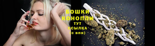 гидра Арсеньев