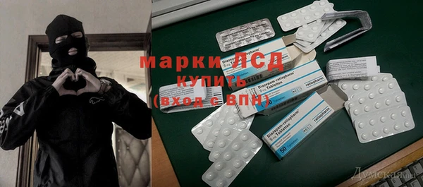 гидра Арсеньев